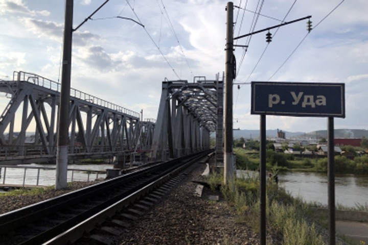 Бездомный напал на пятиклассниц в Улан-Удэ