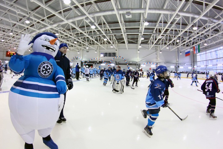 Новосибирский минстрой заказал проект ледовой арены Новосибирский минстрой заказал проект ледовой арены