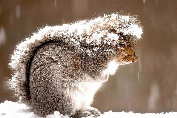 Томские банкиры списали рост инфляции на морозы