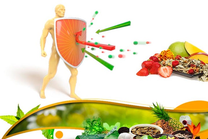 Иммунная память - может ли наша иммунная система учиться? Иммунная память - может ли наша иммунная система учиться?