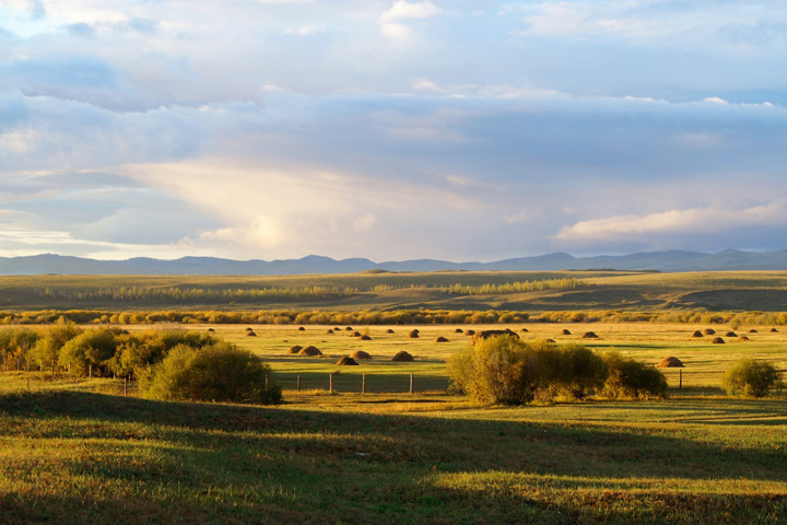 Бурятским фермерам бесплатно предоставят до 20 га земли