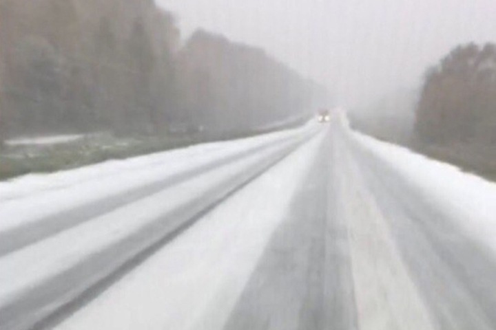 Полиция проверит данные о «банде грабителей» на трассе Новосибирск-Кемерово