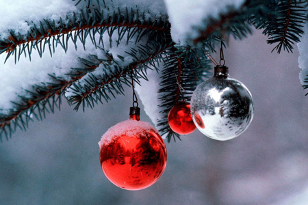 Новогодняя ель упала на прохожего около ТЦ в Омске: мужчина получил разрыв легкого и травмы головы 