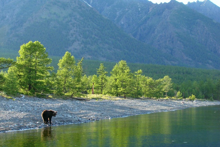 Пандемия коронавируса может привести к всплеску «дикого» туризма на Байкале