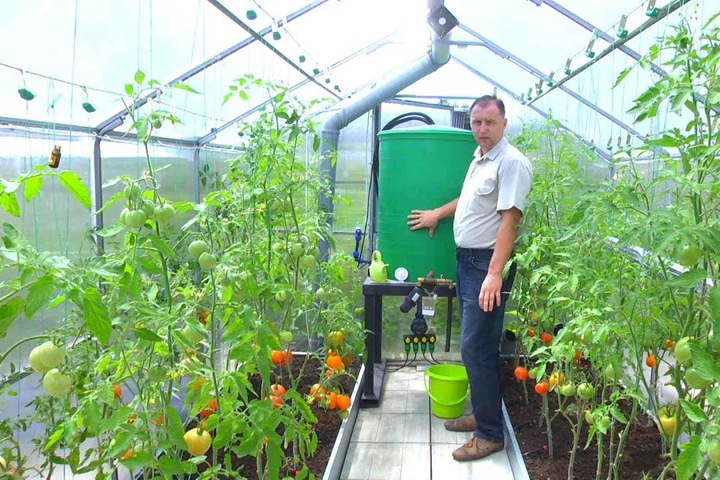 Красноярская школа сделала в теплице класс продленного дня Красноярская школа сделала в теплице класс продленного дня