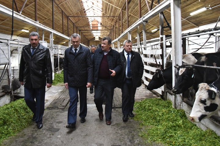 Губер возглавил Совет муниципальных образований Новосибирской области