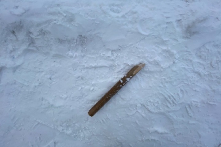 Дело забившего прохожего насмерть черенком от лопаты новосибирца дошло до суда