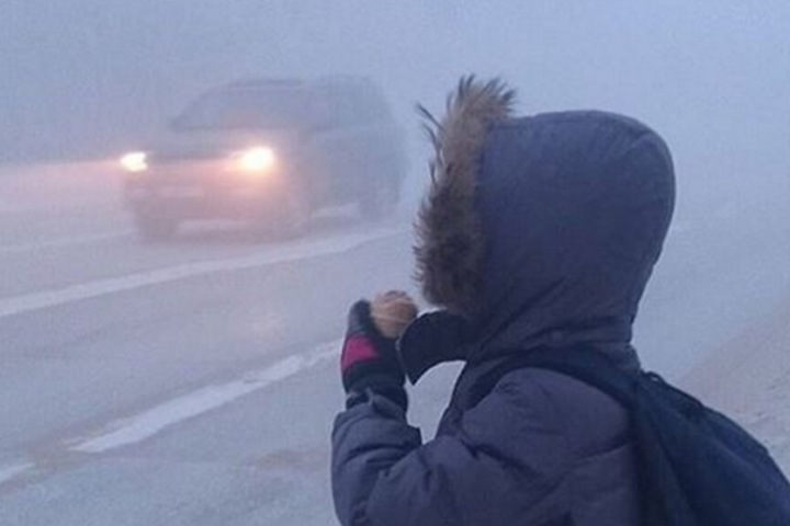 Красноярцы съедают более двух килограммов мороженого за год Красноярцы съедают более двух килограммов мороженого за год