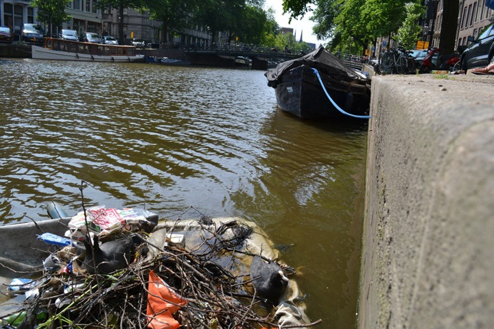 Истории об изменении климата и борьбе со свалками покажут новосибирцам на фестивале ECOCUP