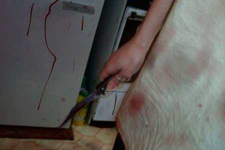 70-летняя жительница Бурятии, изнасилованная сожителем дочери, зарезала ее во время застолья 70-летняя жительница Бурятии, изнасилованная сожителем дочери, зарезала ее во время застолья