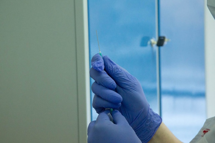 Новосибирские ученые создают комбинированную вакцину от гриппа и коронавируса