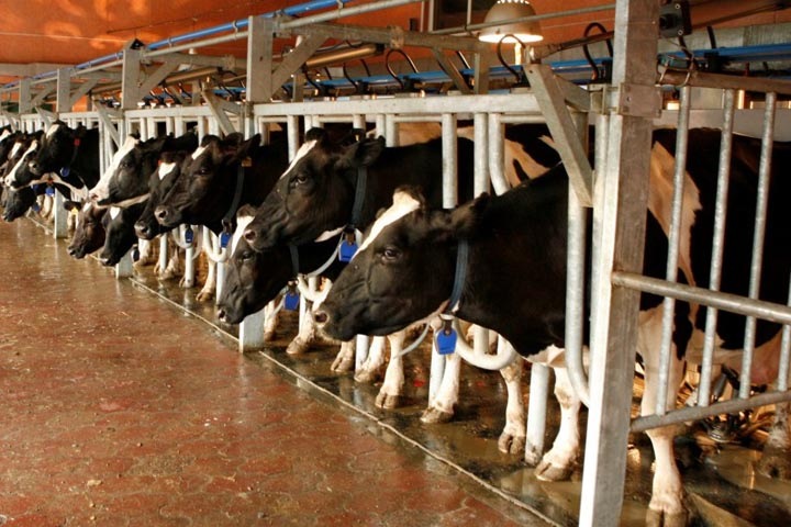 Поселок на линии фронта Поселок на линии фронта