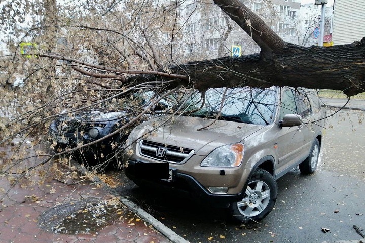Около 100 населенных пунктов в Новосибирской области остались без света из-за урагана