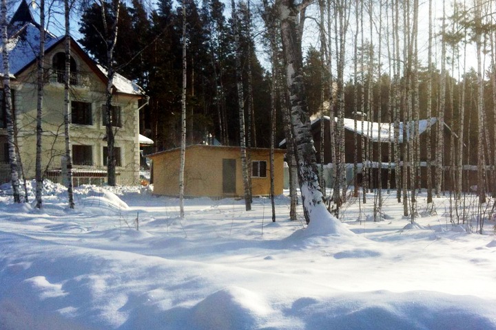 Бердские латифундисты: новый эпизод махинаций с землей