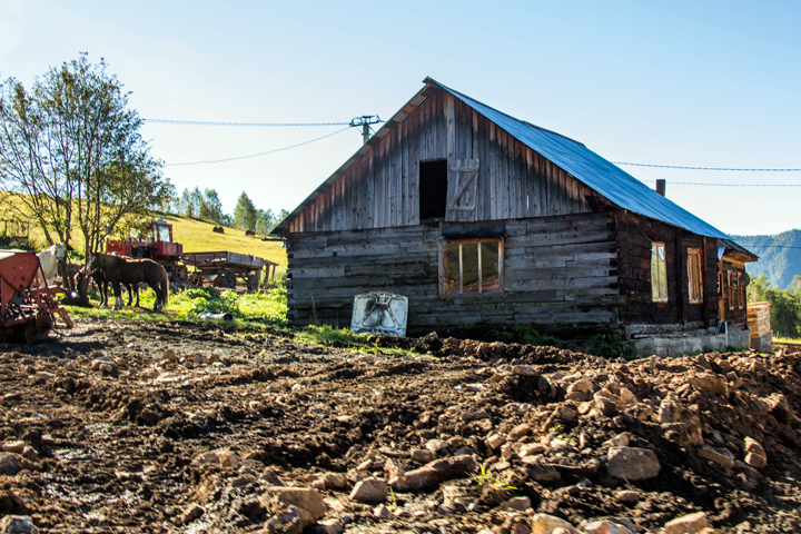 Новосибирская область урежет дотации районам и медицинские расходы Новосибирская область урежет дотации районам и медицинские расходы