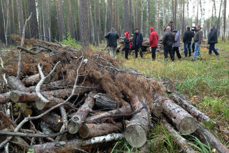 Власти предложили защитникам Каракана объединиться: в бору появится общественная лесная инспекция Власти предложили защитникам Каракана объединиться: в бору появится общественная лесная инспекция