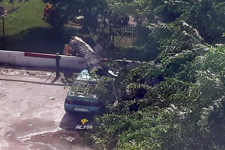 Ураган повалил деревья и столбы в Новосибирске. Фото