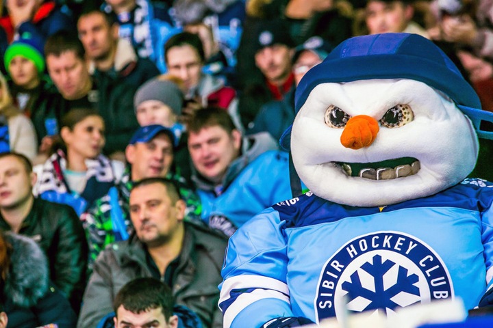 Проект размещения новосибирского ЛДС у аэропорта стал приоритетным Проект размещения новосибирского ЛДС у аэропорта стал приоритетным