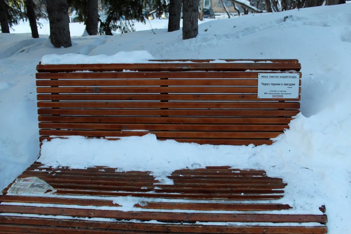 Fitch снизило долгосрочный рейтинг Новосибирской области до дефолтного