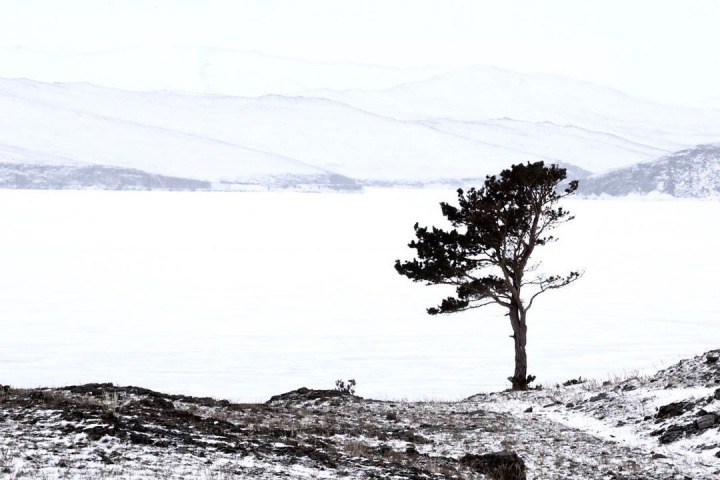Фотографии Байкала, томские болота и бурятские рецепты. Сибирь за неделю Фотографии Байкала, томские болота и бурятские рецепты. Сибирь за неделю