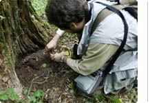 Клад в общее дело | Фото: Алексей Мякишев