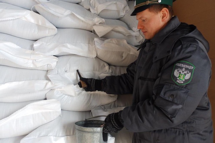 Первые партии рапса отправились из Новосибирска в Китай Первые партии рапса отправились из Новосибирска в Китай