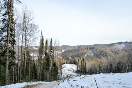 Hilton увеличит инвестиции в туробъекты на Алтае в несколько раз Hilton увеличит инвестиции в туробъекты на Алтае в несколько раз