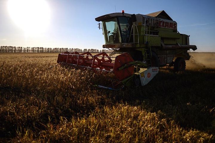 Городецкий потребовал использовать каждый солнечный день для уборки урожая Городецкий потребовал использовать каждый солнечный день для уборки урожая