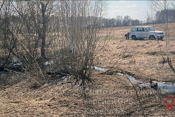 Ущерб экологии от новосибирского свинокомплекса «Кудряшовский» оценили почти в 3 млрд