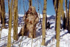 Информация об открытии в Кемерове НИИ по изучению йети появилась в СМИ преждевременно