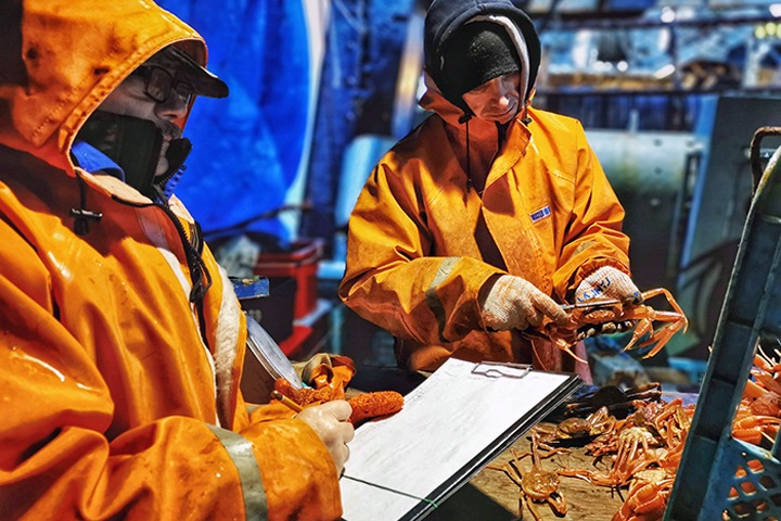 Больше пластика, меньше льда. Как люди изменили Арктику