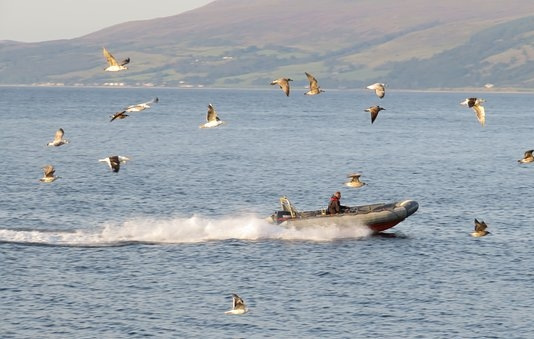 Лодки Адмирал - компания Торгсин Лодки Адмирал - компания Торгсин