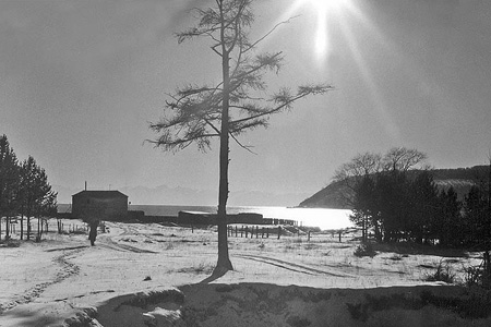 Иркутянка, подозреваемая в убийстве дочери, получала пособие на мертвого ребенка