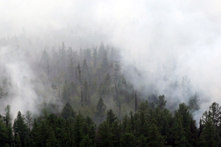 Экс-начальник расформированного Сибирского центра МЧС: «Пожары надо тушить в зародыше» Экс-начальник расформированного Сибирского центра МЧС: «Пожары надо тушить в зародыше»