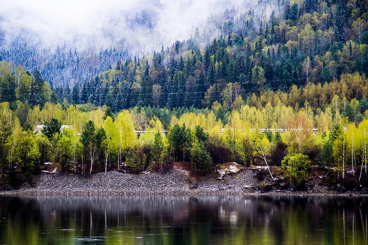 Генпрокуратура не смогла предоставить реальных доказательств по делу о блокировке Тайги.инфо