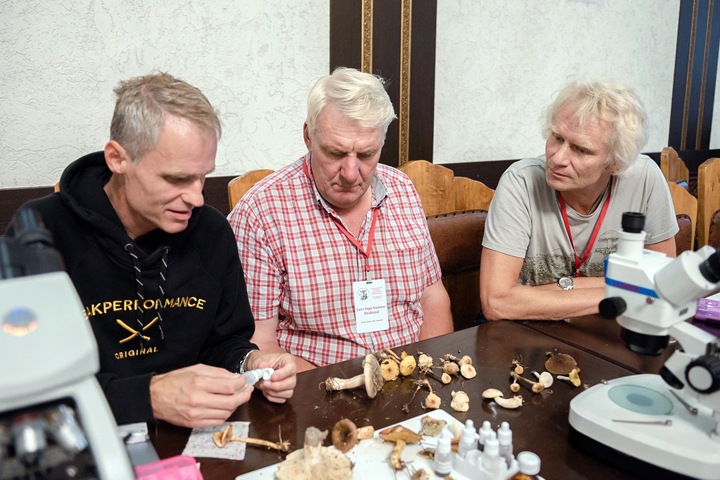 Редкие грибы завезут на томский «Праздник топора»