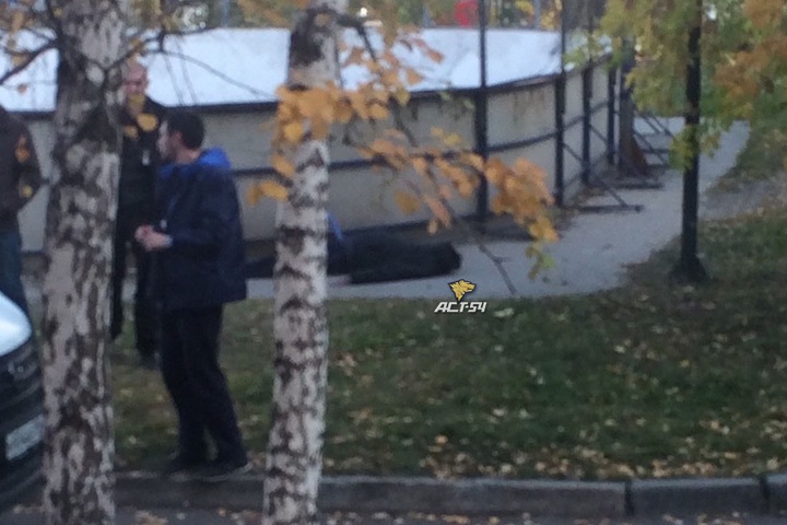 Труп обнаружен около школы в Новосибирске Труп обнаружен около школы в Новосибирске