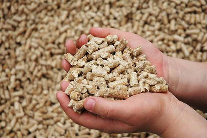 Крупный холдинг закрывает комбикормовый завод в Томской области и сокращает всех рабочих