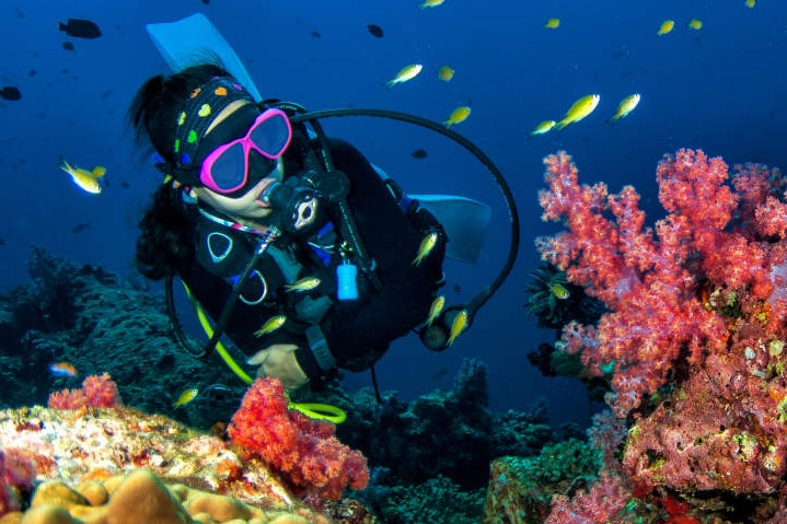 Водный туризм. Дайвинг и рафтинг Водный туризм. Дайвинг и рафтинг