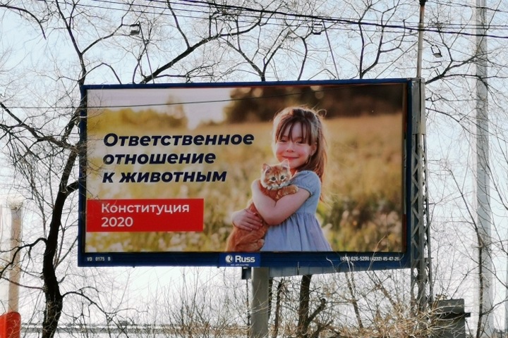 Роспотребнадзор удалил документ о палаточном голосовании по поправкам в Конституцию