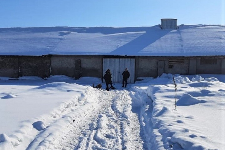 Жительница Алтайского края заживо сожгла 1,5-годовалую дочь на глазах у сына Жительница Алтайского края заживо сожгла 1,5-годовалую дочь на глазах у сына