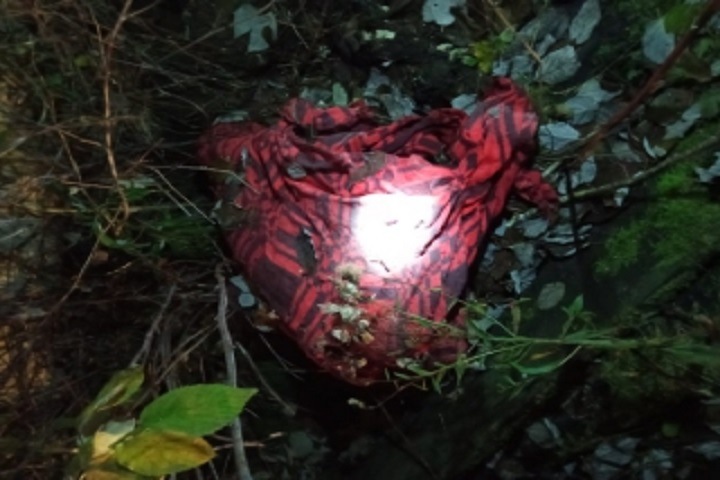 20-летнюю девушку нашли расчлененной в Красноярском крае. В убийстве обвиняют ее мужа