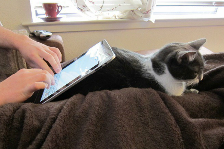 Планшеты генерируют интернет-трафик в Сибири активнее смартфонов — МТС