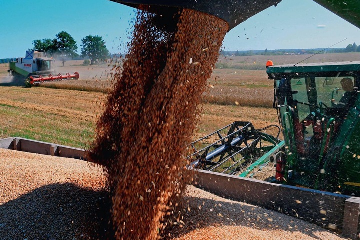 Городецкий: Новосибирская область может отправлять на экспорт 1 млн тонн зерна ежегодно