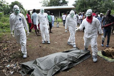 Новосибирская вакцина против вируса Эбола готова к клиническим испытаниям Новосибирская вакцина против вируса Эбола готова к клиническим испытаниям