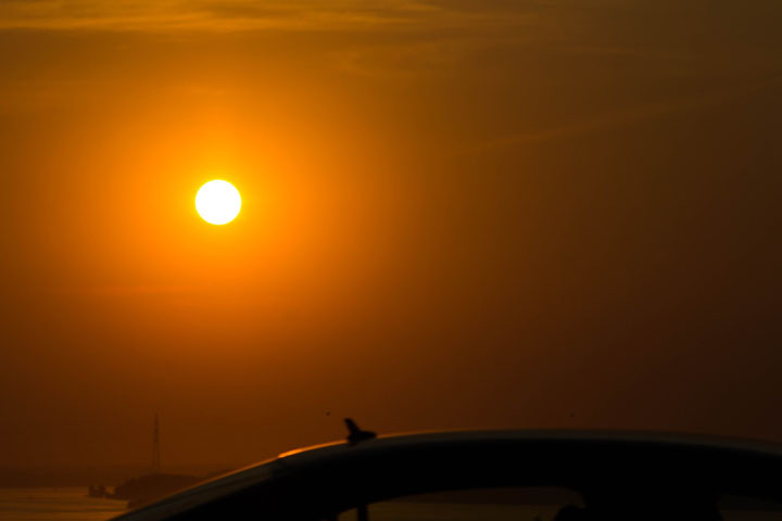 Новосибирцев предупредили о 35-градусной жаре Новосибирцев предупредили о 35-градусной жаре