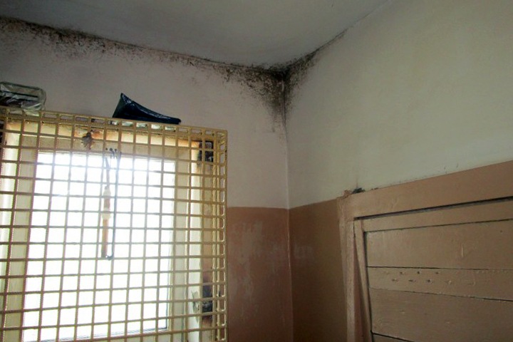 Правозащитники рассказали об избиении заключенных иркутской колонии, в которой объявили голодовку