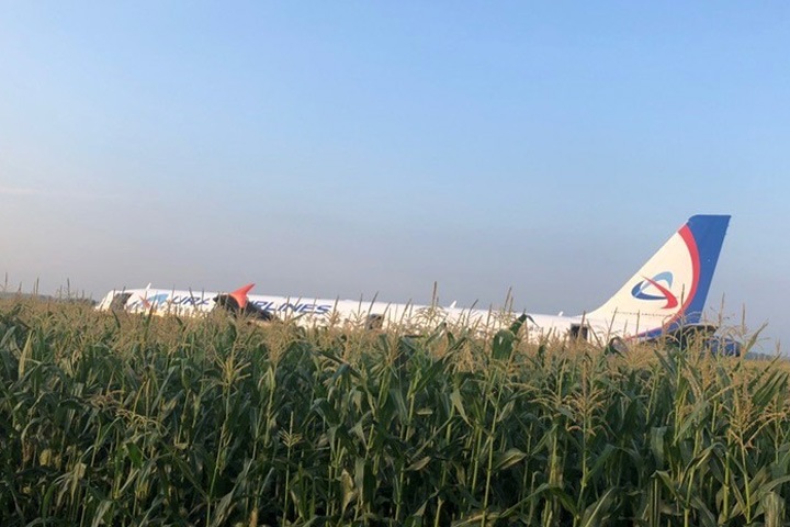 «Уральские авиалинии» отменили рейс в Новосибирск из-за ЧП с самолетом в Подмосковье