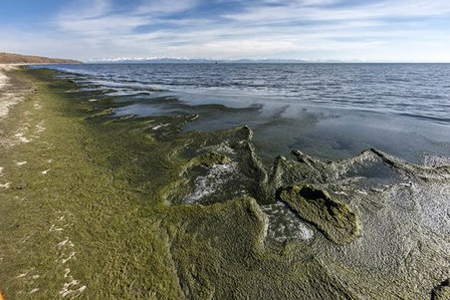 «Номер один»: Монгольская ГЭС может превратить Байкал в болото 