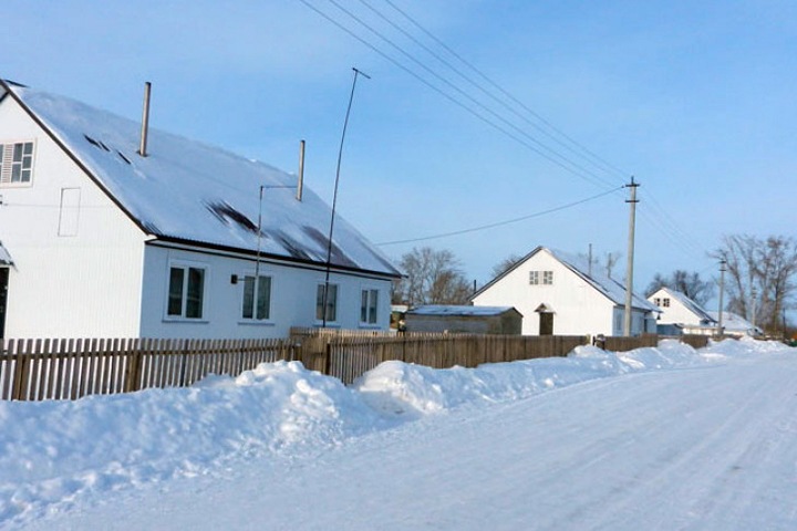 Карантин по бешенству ввели в крупной новосибирской сельхозкомпании Карантин по бешенству ввели в крупной новосибирской сельхозкомпании
